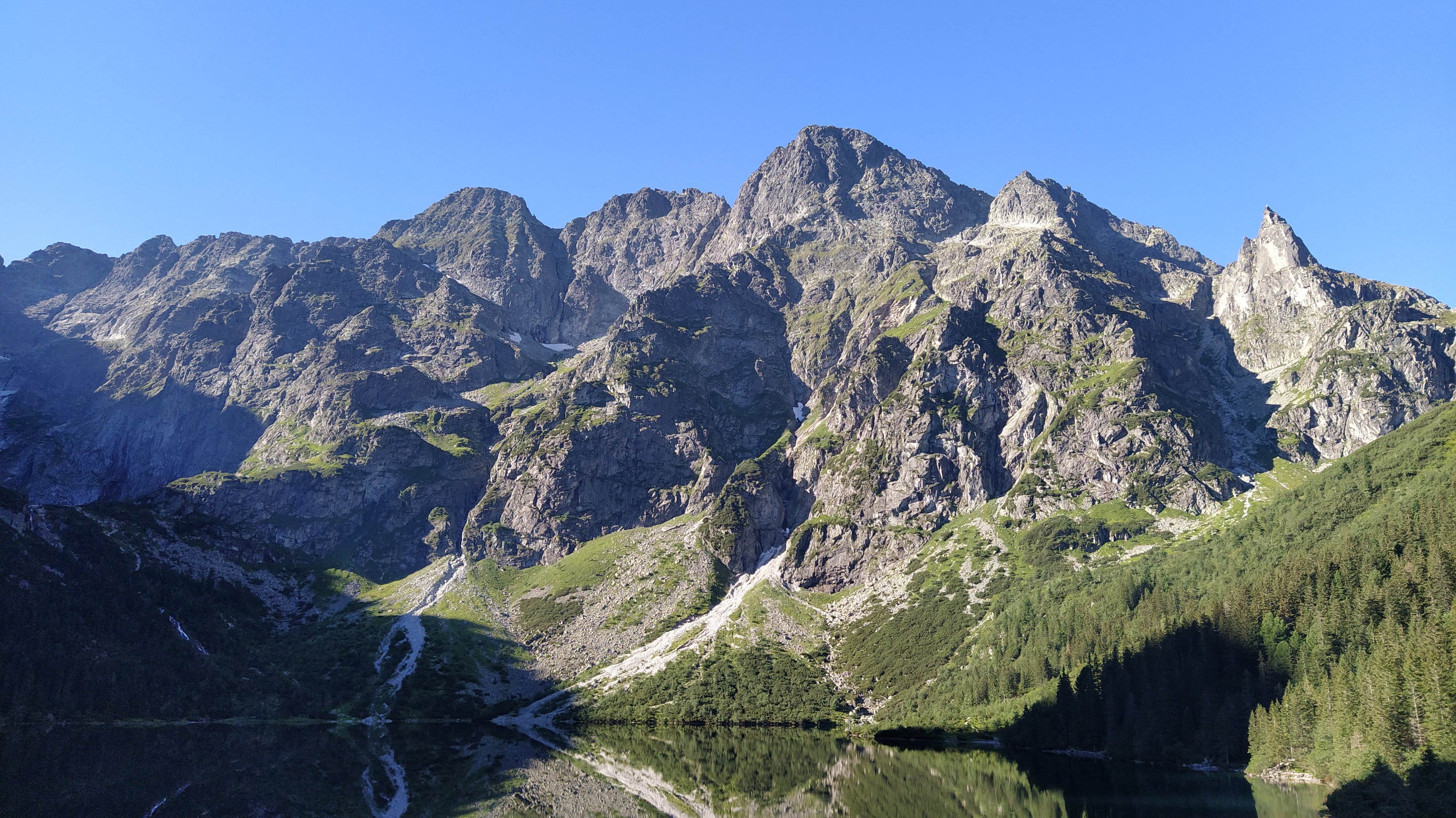 Panorama estival des Carpates ukrainiennes - prairies alpines verdoyantes