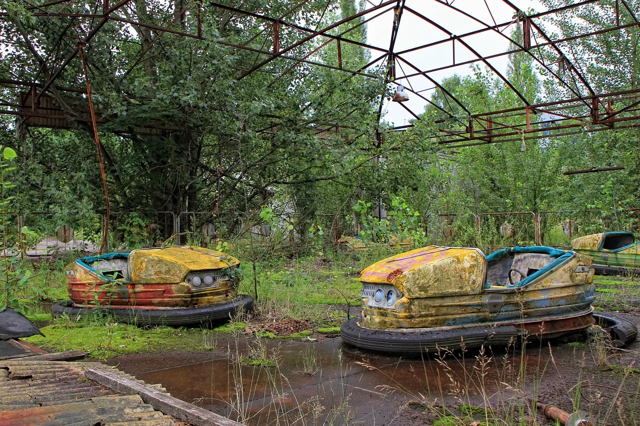 V&eacute;g&eacute;tation luxuriante dans la zone d'exclusion de Tchernobyl, For&ecirc;t Rouge